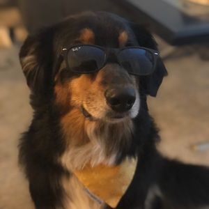 Meet your Posher, Greg